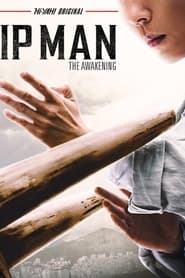 Ip Man: The Awakening (2022)